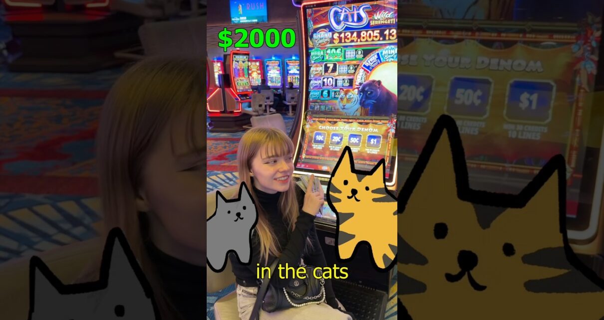 Big Win in Cats Slot Machine for 00! Big Win in Cats Slot Machine for 00!