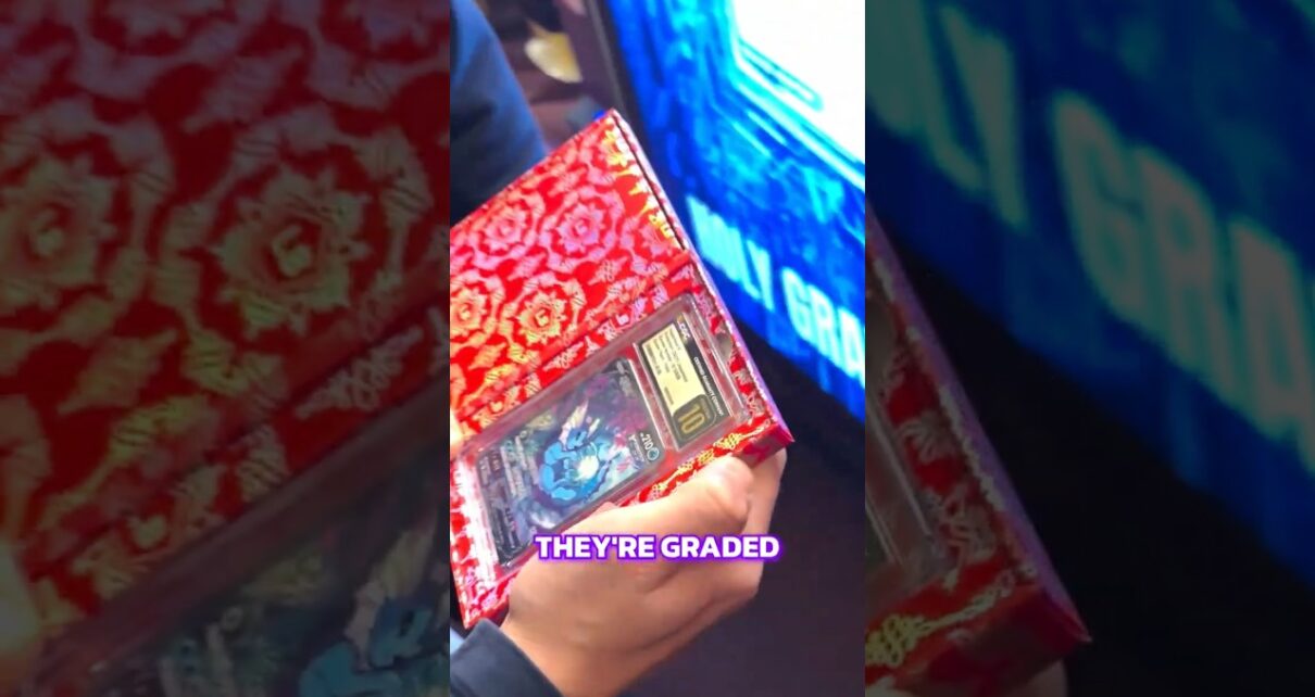 Gambling 170 on a Pokemon Card. Big Win. Gambling 170 on a Pokemon Card. Big Win.