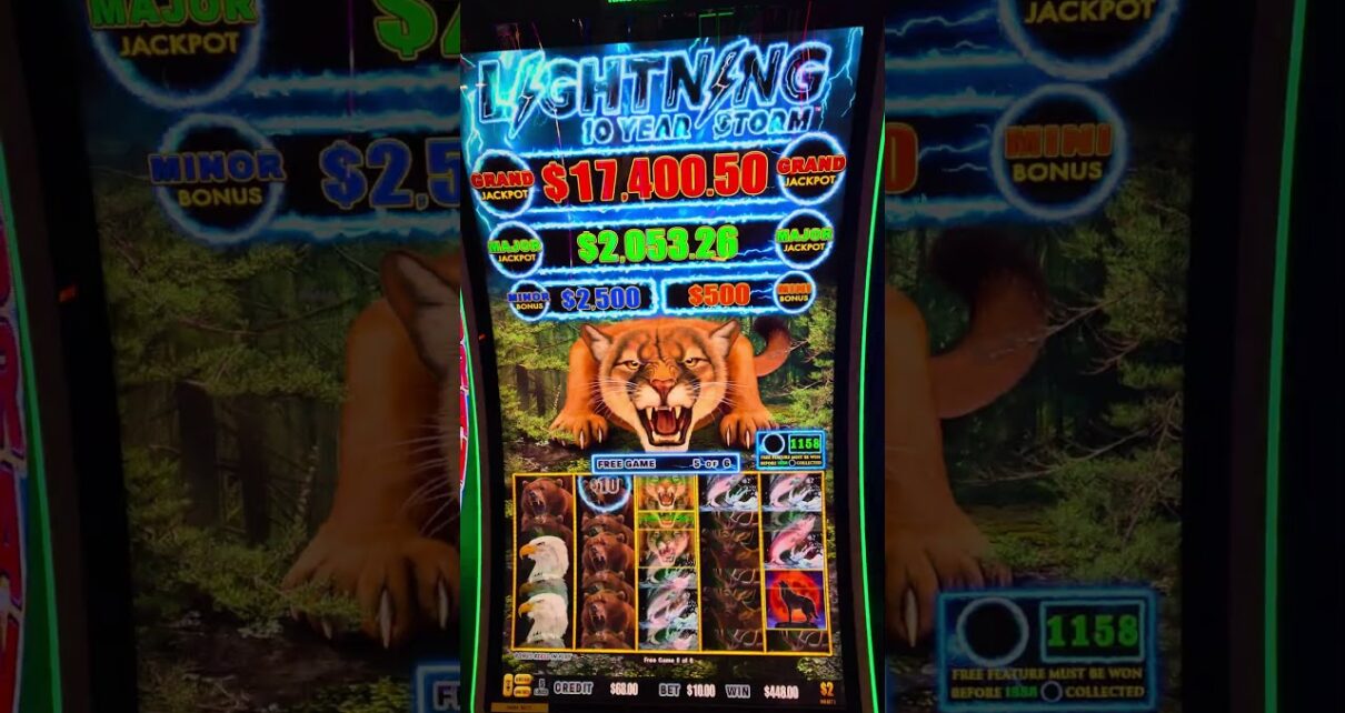 Double Counter Trigger in the Bonus, Lightning Storm Cougar! Big Win Double Counter Trigger in the Bonus, Lightning Storm Cougar! Big Win