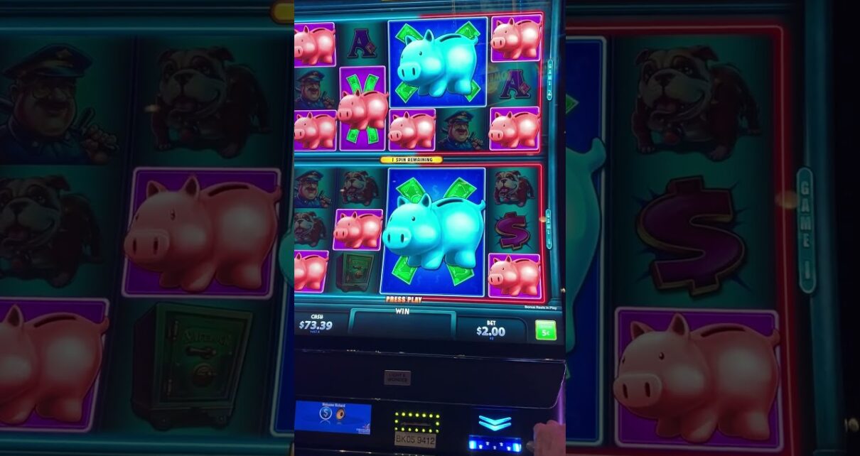 Here Piggy Piggy Big Win Here Piggy Piggy Big Win