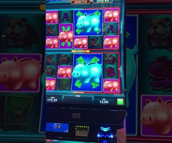 Here Piggy Piggy Big Win